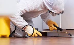 Best Real Estate Pest Inspections  in Cannelton, IN